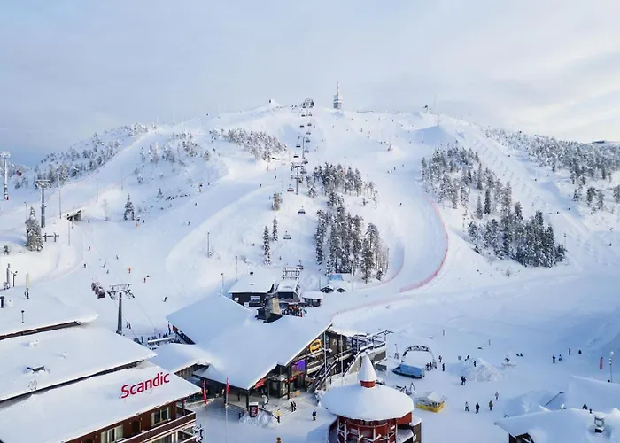 In Lapland - Quality A 公寓 库萨莫