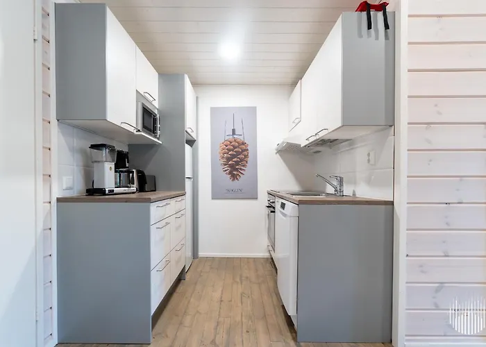 In Lapland - Quality A 公寓 *